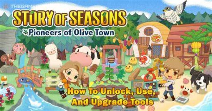 Tools Story of Seasons Pioneers of Olive Town