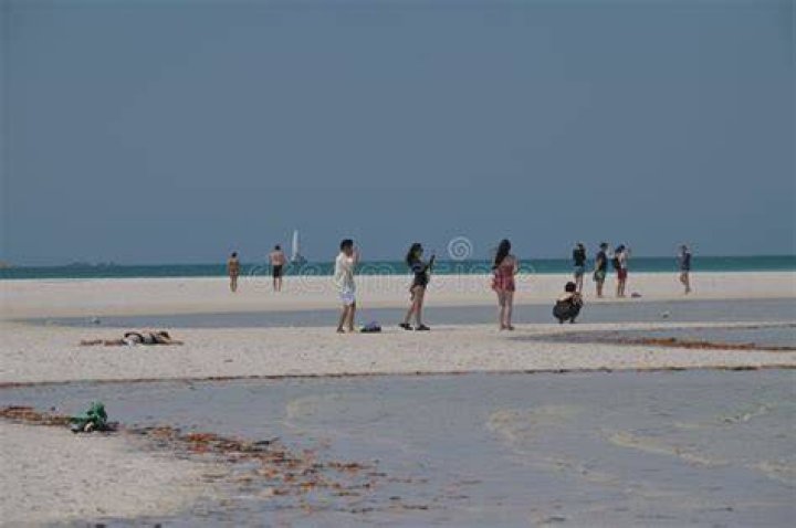 Tourists stand on a beach while the countryside burns