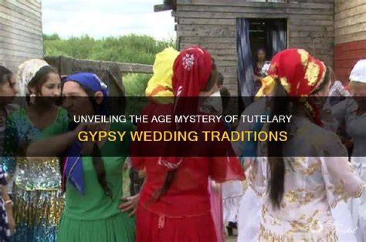 Unveiling The Mystery The Gypsy Mom Crime Scene