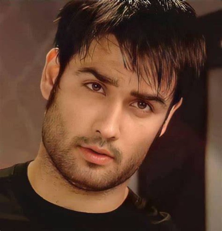 Vivian Dsena's Instagram story