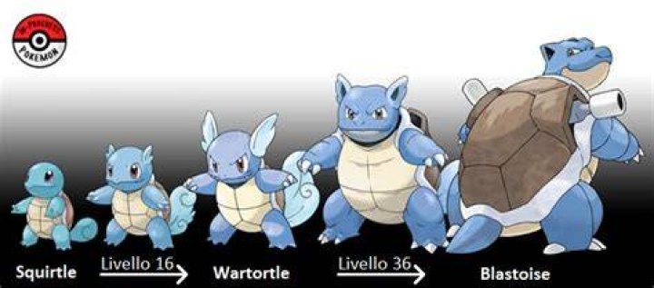wartortle evo