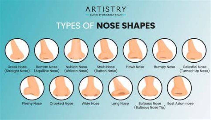 Which type of NOSE do you have? Expert reveals the top 10 shapes