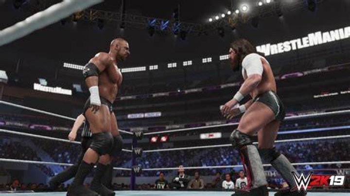 WWE 2K19 Wrestling