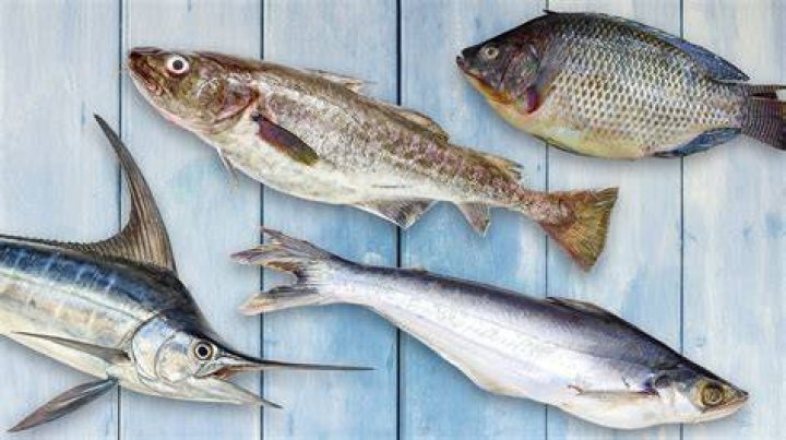 Your white fish should be around the size of a chequebook